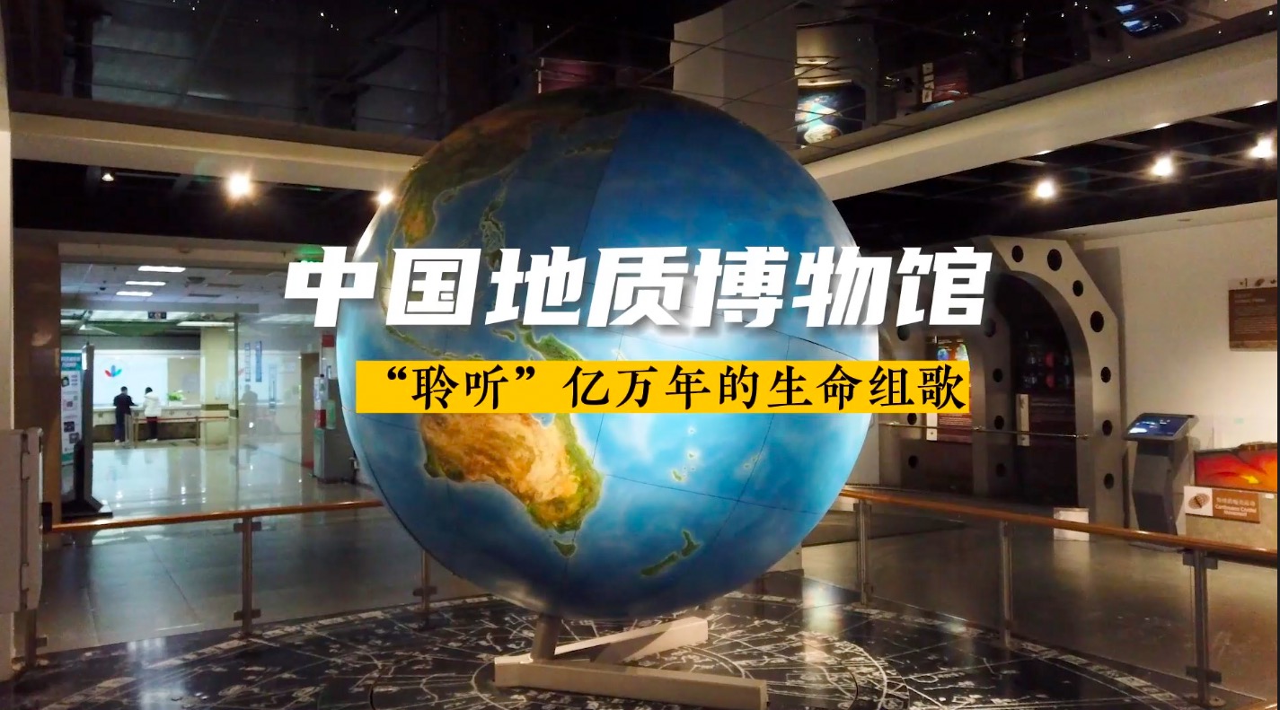 中国地质博物馆，“聆听”亿万年的生命组歌